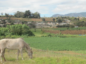 La única casa en el valle